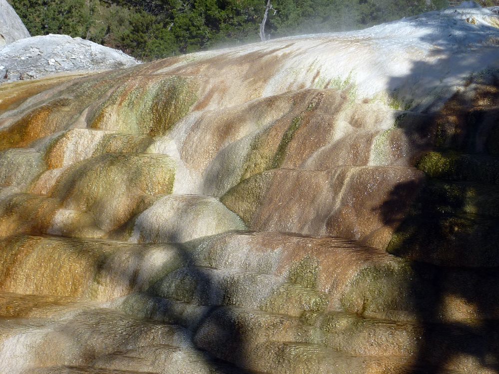Yellowstone Mammoth Hotsprings (79).JPG